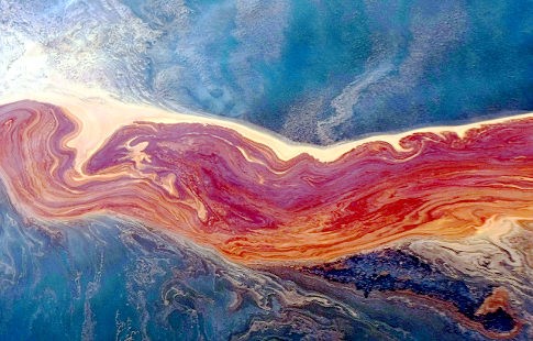 Исследователи научат бактерии питаться нефтью и спасут Мировой океан