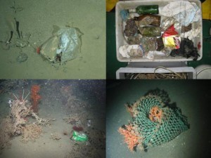 Нет ни одной области в Мировом океане, свободной от мусора: новое исследование